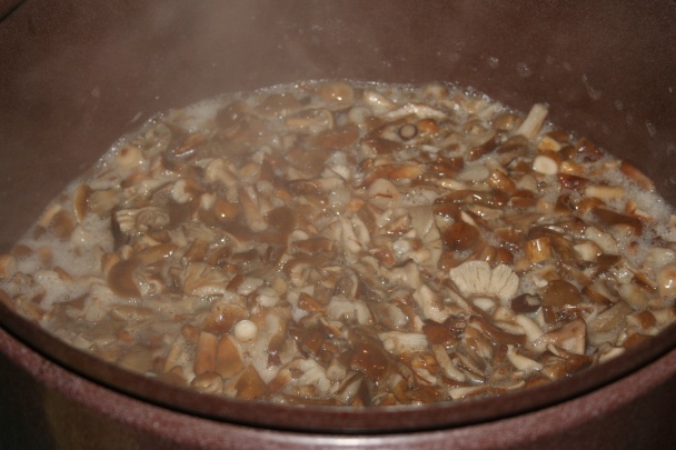 Michalky v octe - obrázok 2