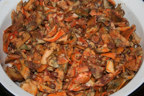 Rýdziky v octe - obrázok 1