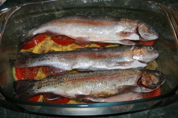 Trout in Czech (fotorecept) - obrázok 5