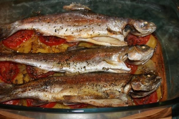 Trout in Czech (fotorecept) - obrázok 6