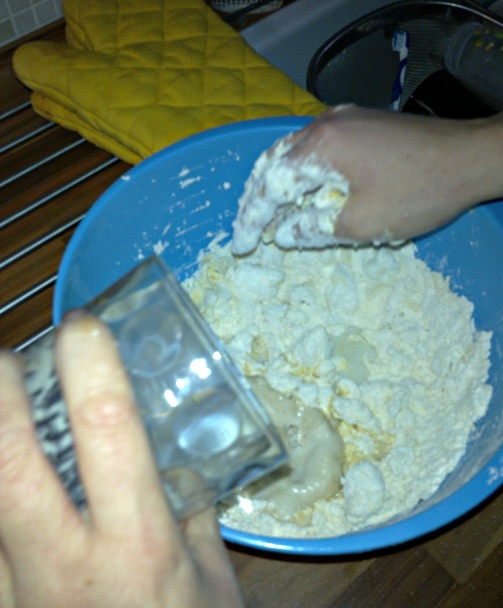 Orechové osie hniezda (fotorecept) - obrázok 1