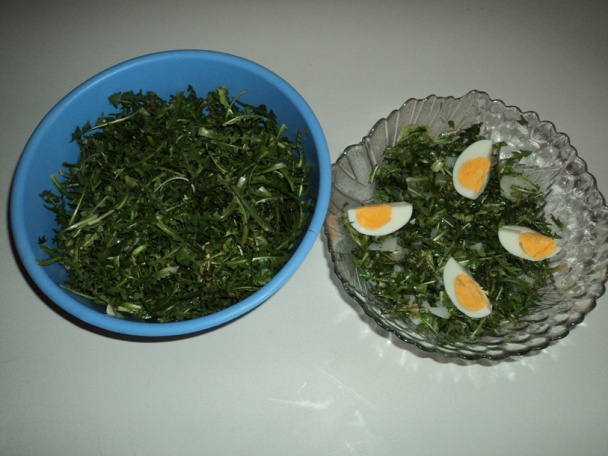 Jarný šalát z púpavových listov (fotorecept) - obrázok 3