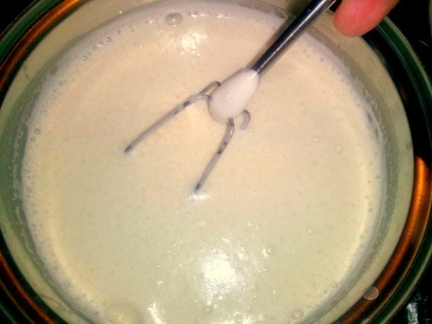 Leche frita-vyprážané mlieko (fotorecept) - obrázok 5
