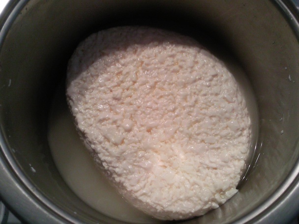 Syr z kravského mlieka z dvora - obrázok 8