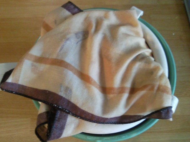 Syr z kravského mlieka z dvora - obrázok 10