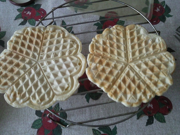 Vafle s jogurtovo - tvarohovou plnkou - obrázok 11