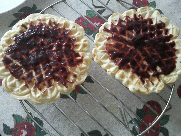 Vafle s jogurtovo - tvarohovou plnkou - obrázok 12