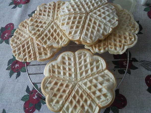 Vafle s jogurtovo - tvarohovou plnkou - obrázok 15