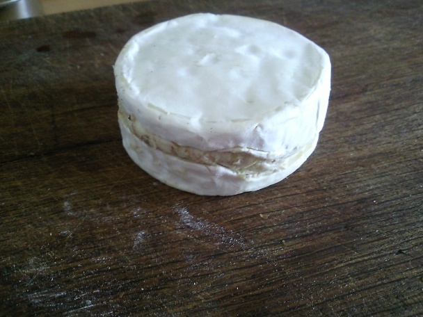 Plnený hermelín - obrázok 10