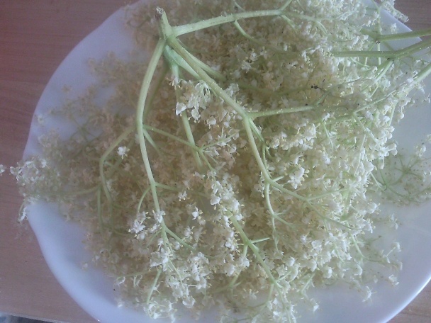 Vyprážaná baza v palacinkovom cestíčku - obrázok 1