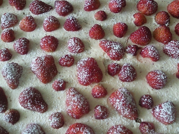 Jahodové rezy - obrázok 8