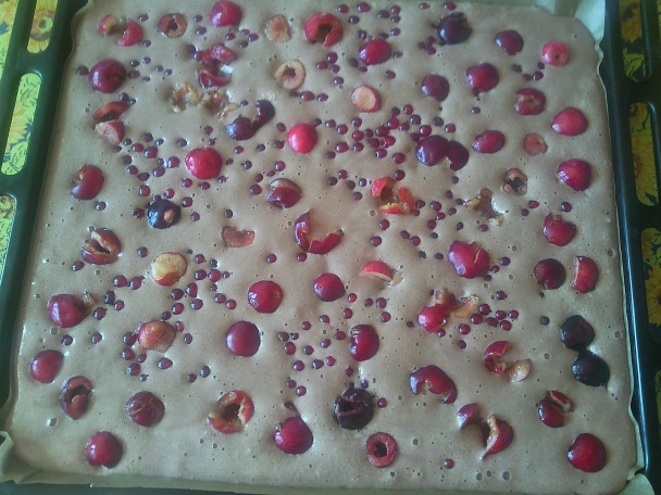 Ovocná bublanina - obrázok 5