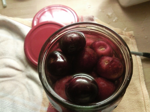 Zavárané kompótové ovocie so soľou, nie cukrom - obrázok 3