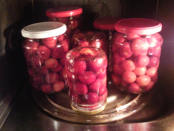 Zavárané kompótové ovocie so soľou, nie cukrom - obrázok 4