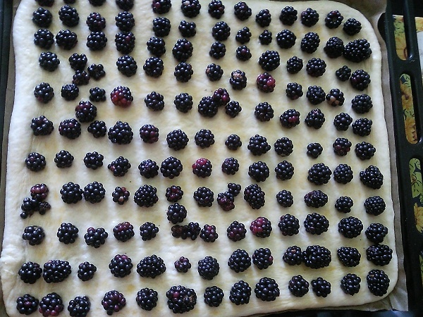 Kysnuté cesto na čokoľvek - obrázok 3