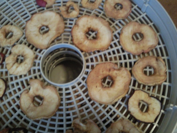 Sušené jablká v čokoláde (fotorecept) - obrázok 1