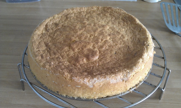 Mrkvovo-orechová torta bez múky (fotorecept) - obrázok 8