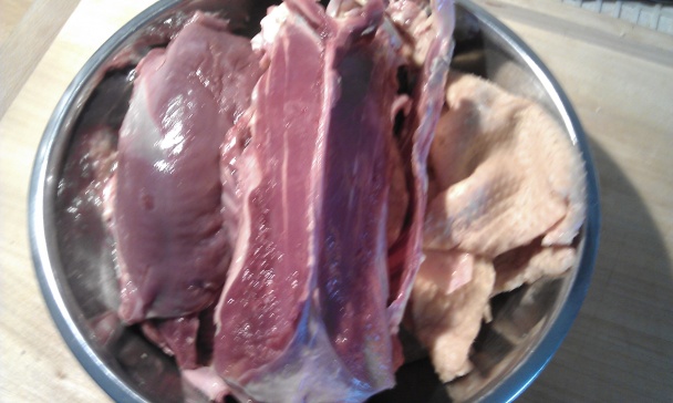 Kačka na repíku (fotorecept) - obrázok 1