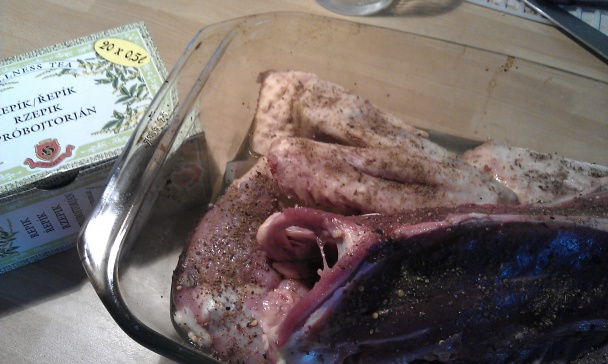 Kačka na repíku (fotorecept) - obrázok 5