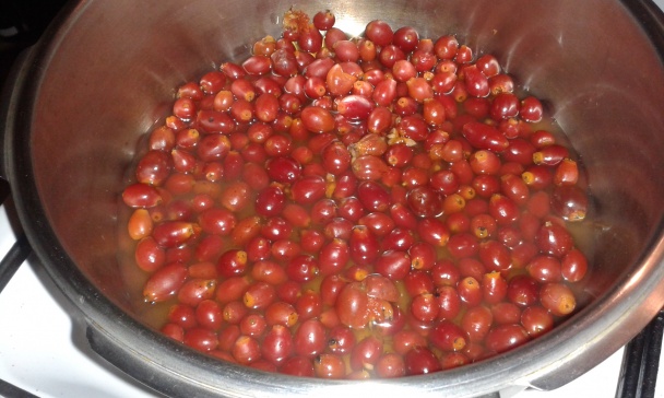 Jablkovo-šípkový džem - obrázok 1