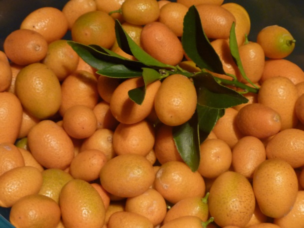 Kumquatová marmeláda - obrázok 1