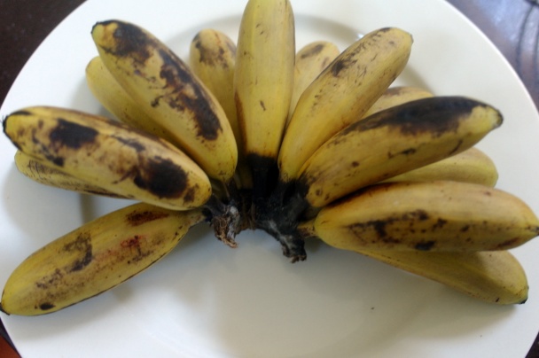 Šišky z Afriky - obrázok 1