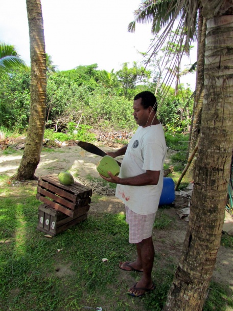 Kokoda - surová ryba z Pacifiku  - obrázok 3