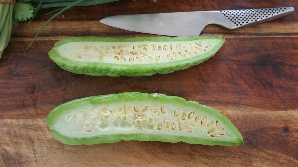 Horký melón (fotorecept) - obrázok 2