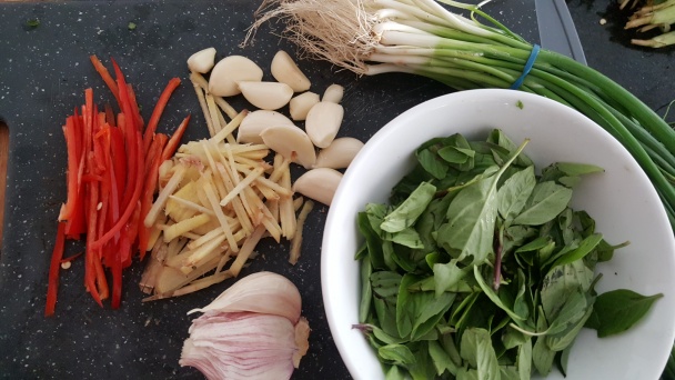 Trojhrnčekové kurča (San Bei Ji) - obrázok 2