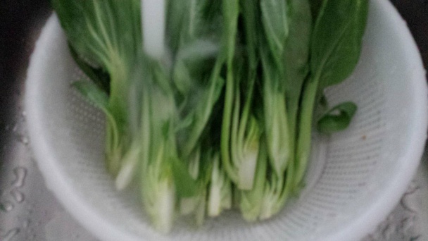 Klasický bok choy (fotorecept) - obrázok 3