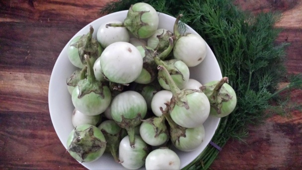 Domáca kôprová (fotorecept) - obrázok 1