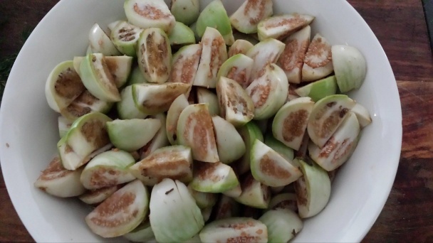 Domáca kôprová (fotorecept) - obrázok 2