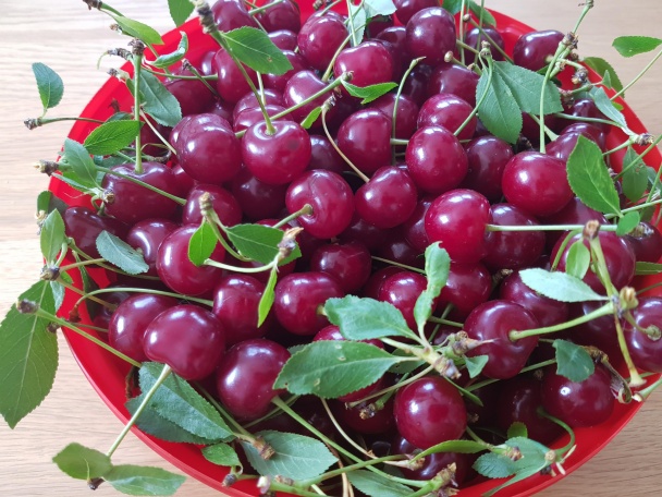 Studená višňová polievka (Meggyleves) - obrázok 1