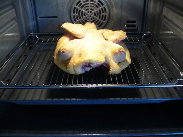 Kačka so strúhankou - obrázok 1