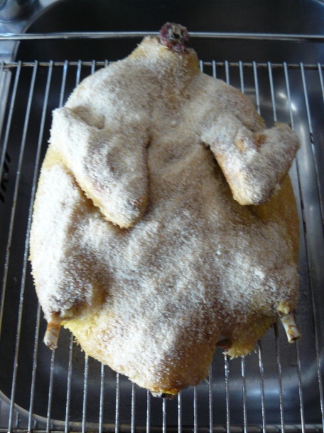 Kačka so strúhankou - obrázok 2