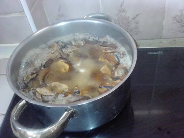 Hríbová máčanka (fotorecept) - obrázok 1