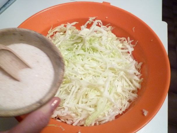 Dusená kapusta (fotorecept) - obrázok 1