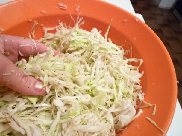 Dusená kapusta (fotorecept) - obrázok 3