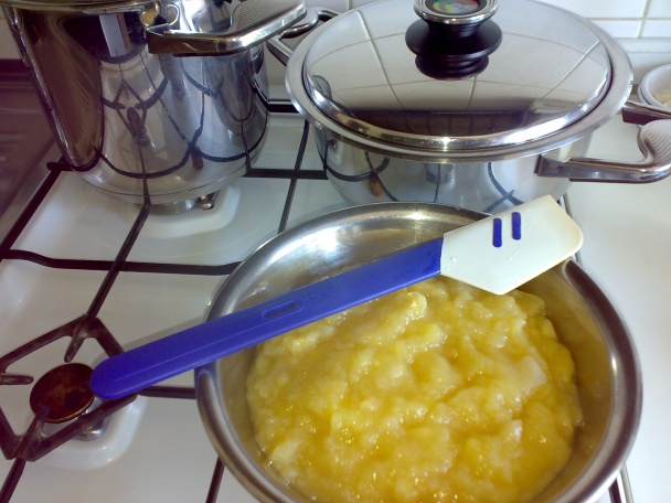 Jablká do koláča  - postup  (fotorecept) - obrázok 6