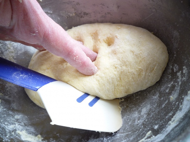 Báábovka NICMOC (fotorecept) - obrázok 7