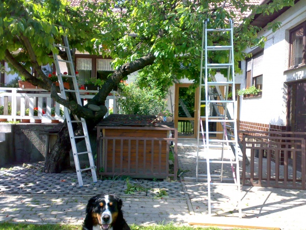 Ovocný koláč  s čerešňami (fotorecept) - obrázok 13