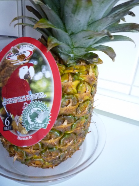 Porcovanie ANANÁSU (fotorecept) - obrázok 11