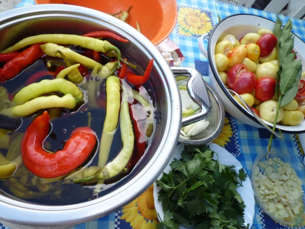 Zaváraná PAPRIKA r.2011 (fotorecept) - obrázok 4