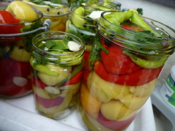 Zaváraná PAPRIKA r.2011 (fotorecept) - obrázok 10