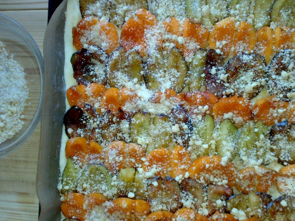 Slivkový osúch s tvarohom (fotorecept) - obrázok 14