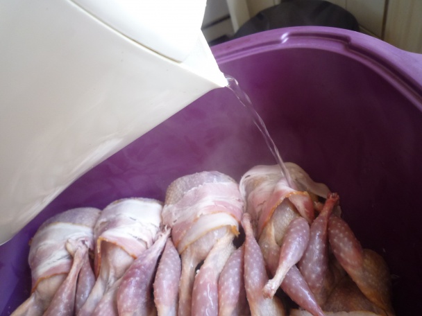 Pečené PREPELICE , minipipinky (fotorecept) - obrázok 5