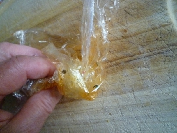 Bravčová panenka (fotorecept)  - obrázok 18