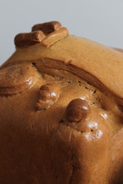 Fotovník (fotorecept) - obrázok 3