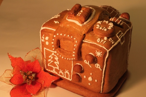 Fotovník (fotorecept) - obrázok 7