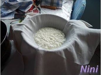 Domáci čerstvý mäkký syr (fotorecept) - obrázok 11